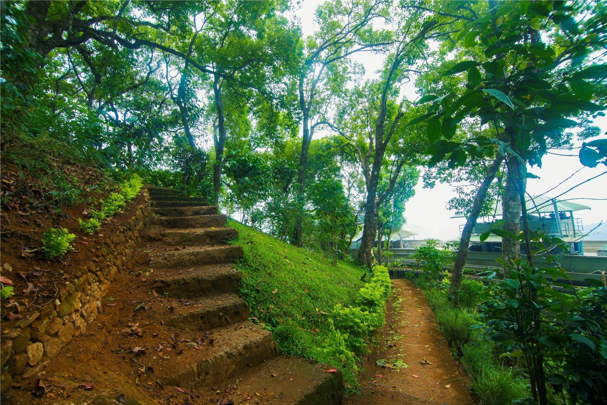 Forest Glade Resorts Chithirapuram Exteriör bild